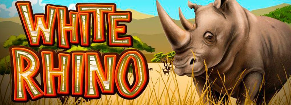 White Rhino Slot Game